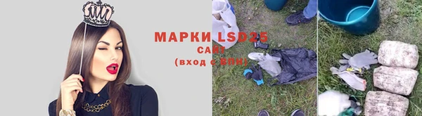 гашик Няндома
