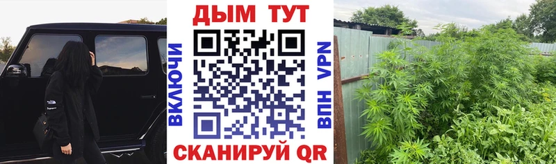 Бошки Шишки планчик  Нововоронеж 